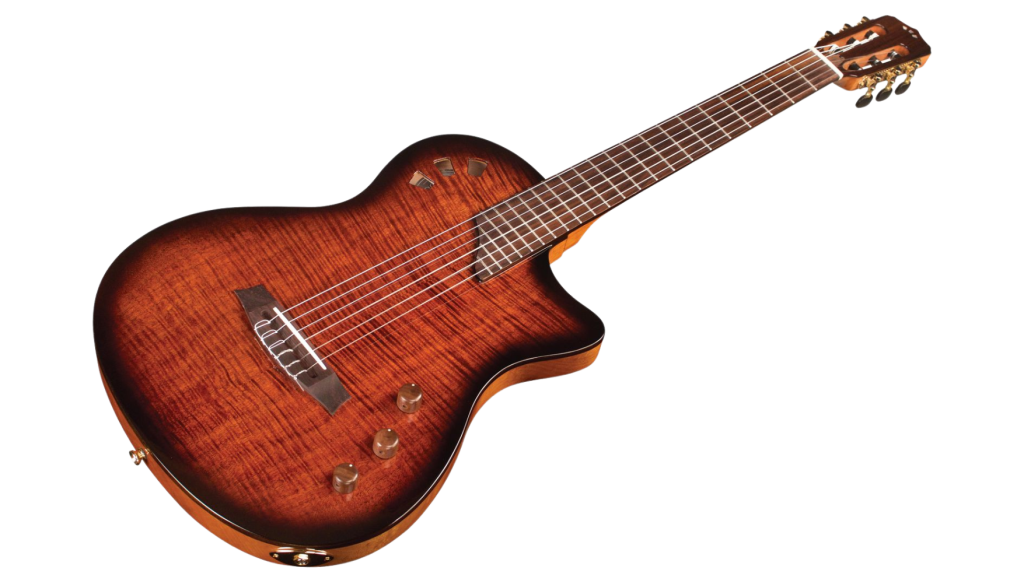 GUITARRA ELECTROACUSTICA CORDOBA STAGE EDGE BURTS - Imagen 2