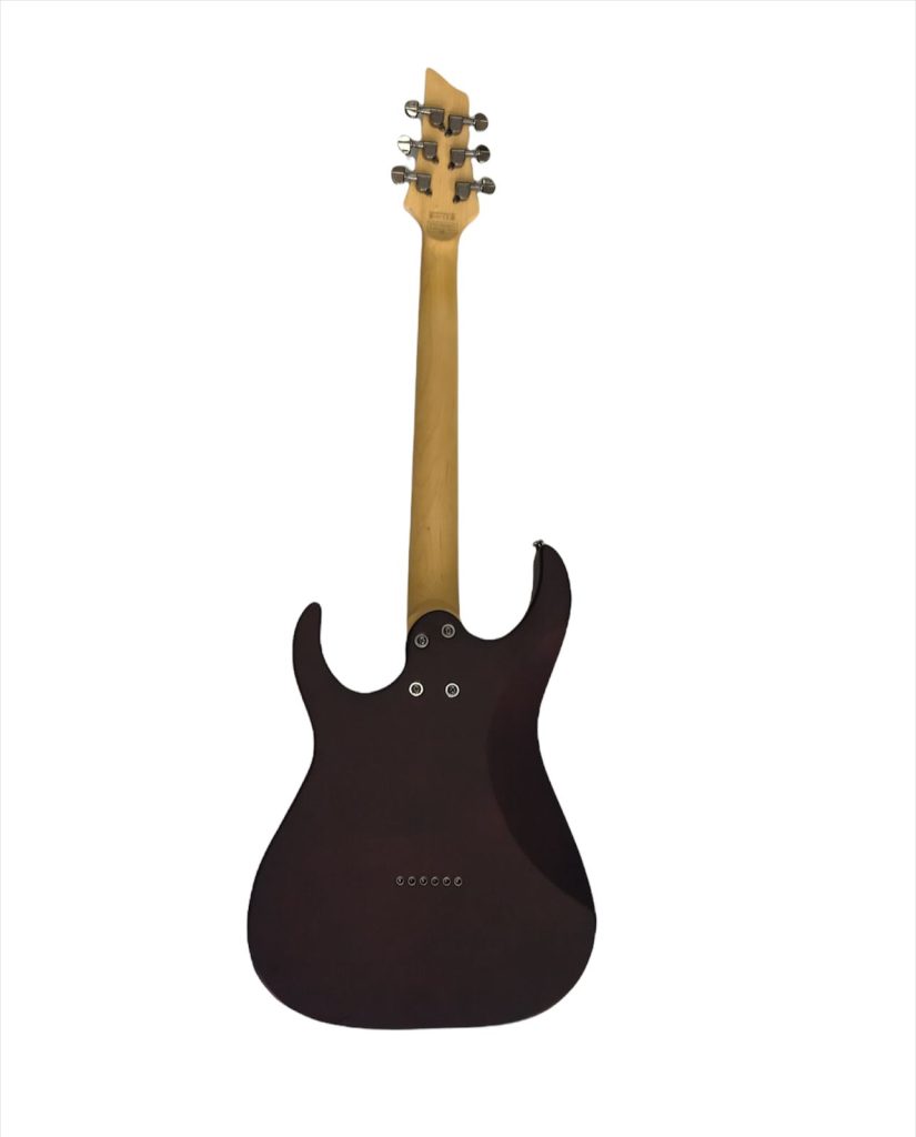 GUITARRA ELECTRICA SGR BY SCHECTER BANSHEE 6 WSN - Imagen 2