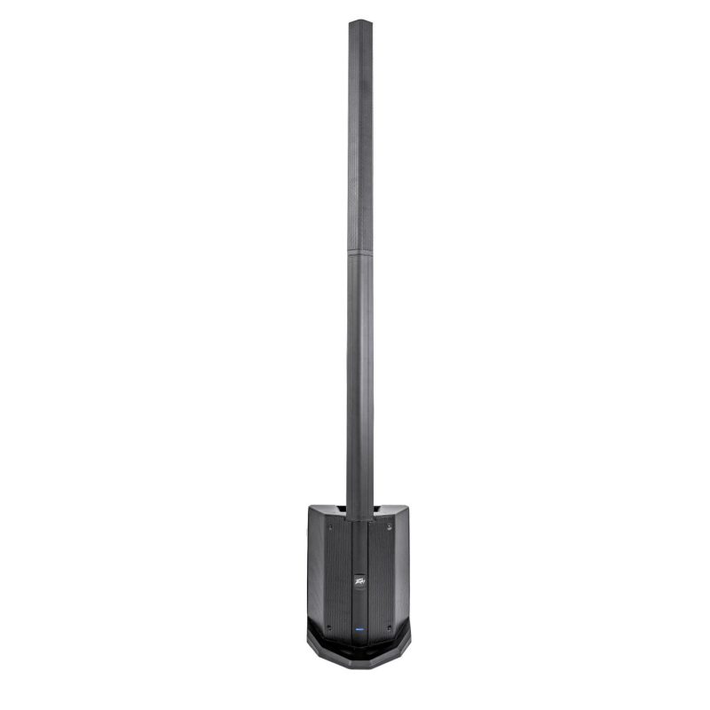 Cabina Peavey Column Array LN1063