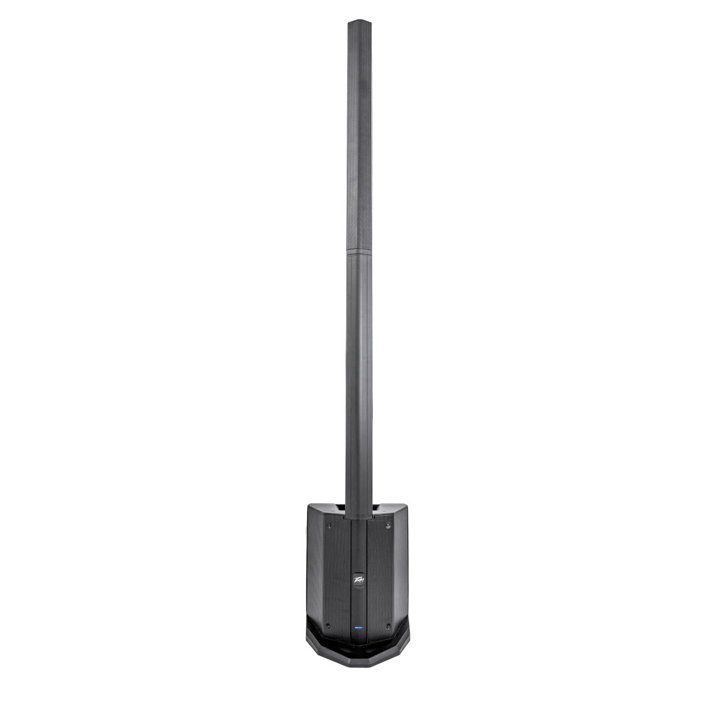 Cabina Peavey Column Array LN1063