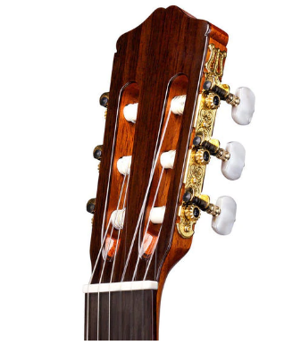 GUITARRA CORDOBA C5 FLAMED MAHOGANY - Image 3