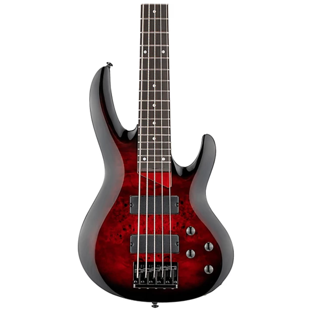Bajo LTD B-205DX Red Burts - Imagen 2